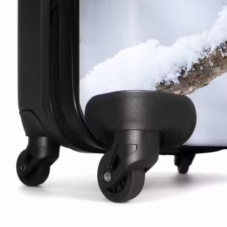 Koffer - Vögelchen – Schnee – Ast – Winter – Sanft — 7