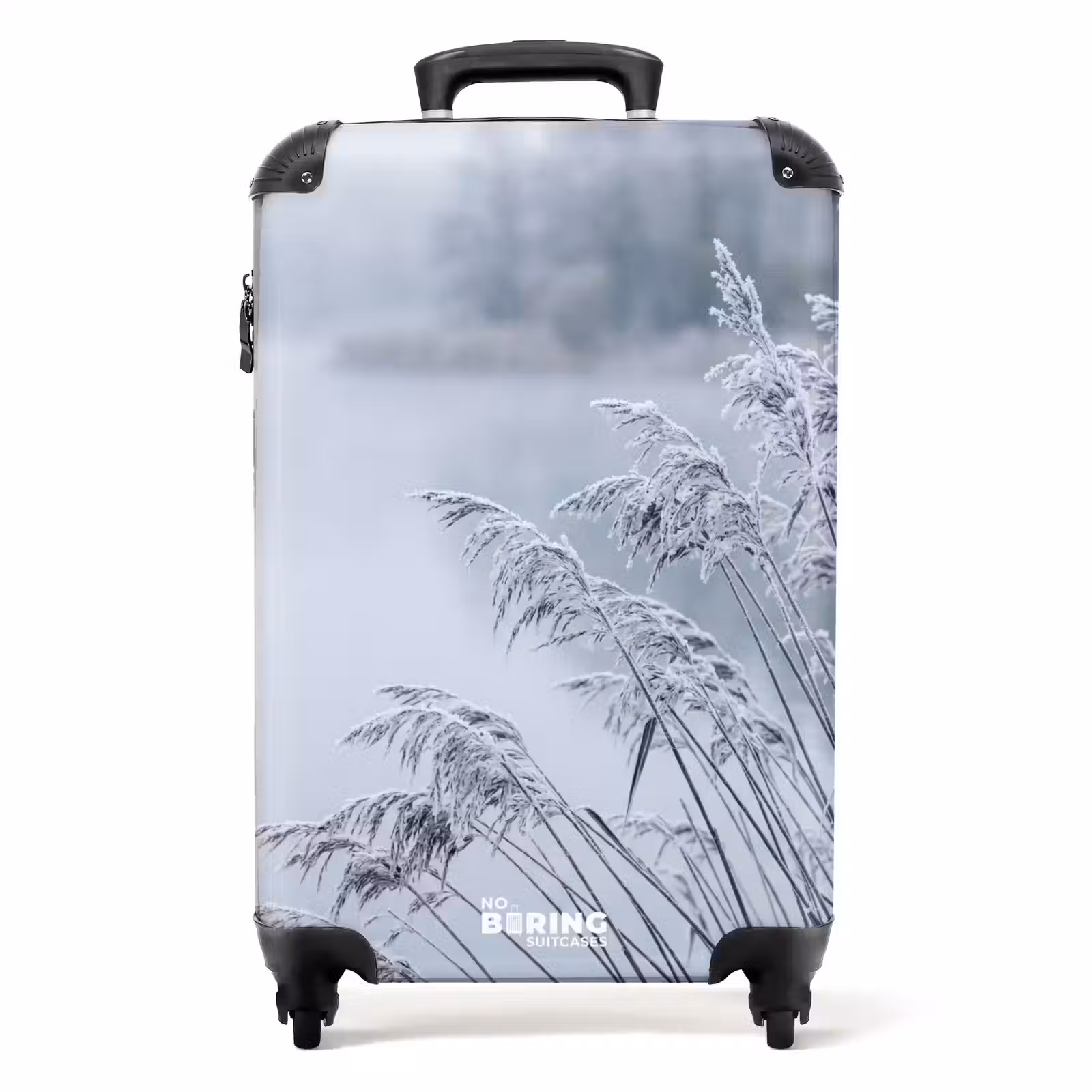 Koffer - Schilf – Gefroren – Winter – Natur — 1