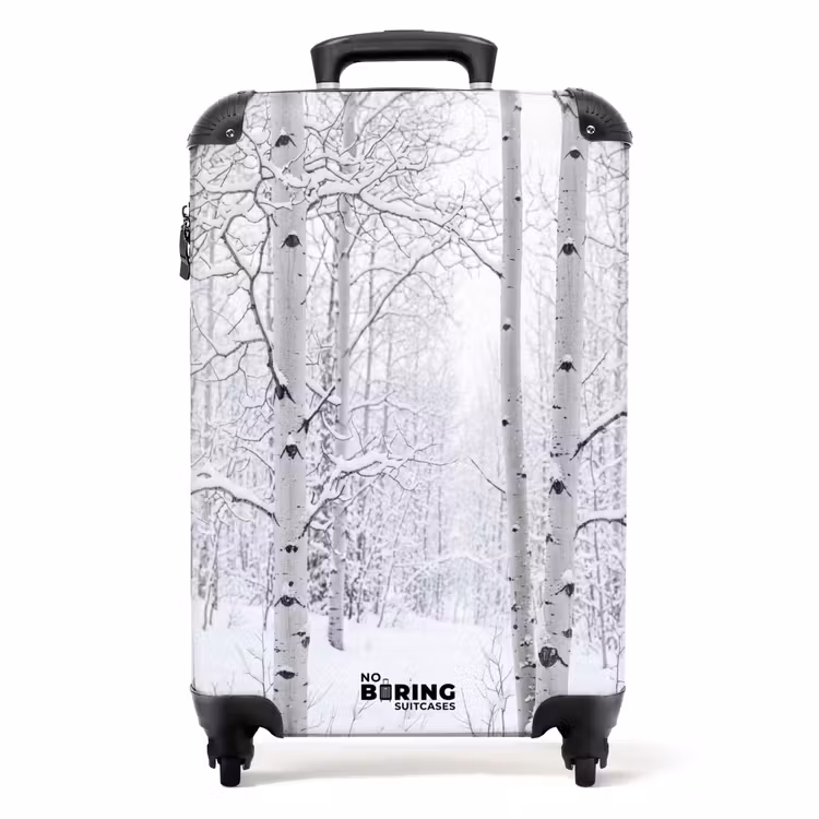 Koffer - Birken – Schnee – Winter – Wald – Weiß — 1