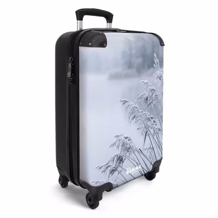 Koffer - Schilf – Gefroren – Winter – Natur — 2