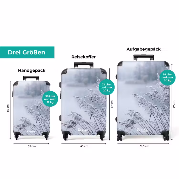 Koffer - Schilf – Gefroren – Winter – Natur — 3