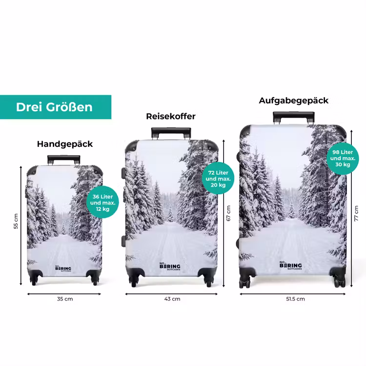 Koffer - Wald – Winter – Schnee – Weg – Natur — 3