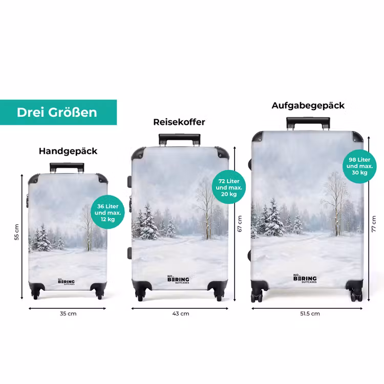 Koffer - Waldweg – Kiefern – Schnee – Winter – Beruhigend — 3