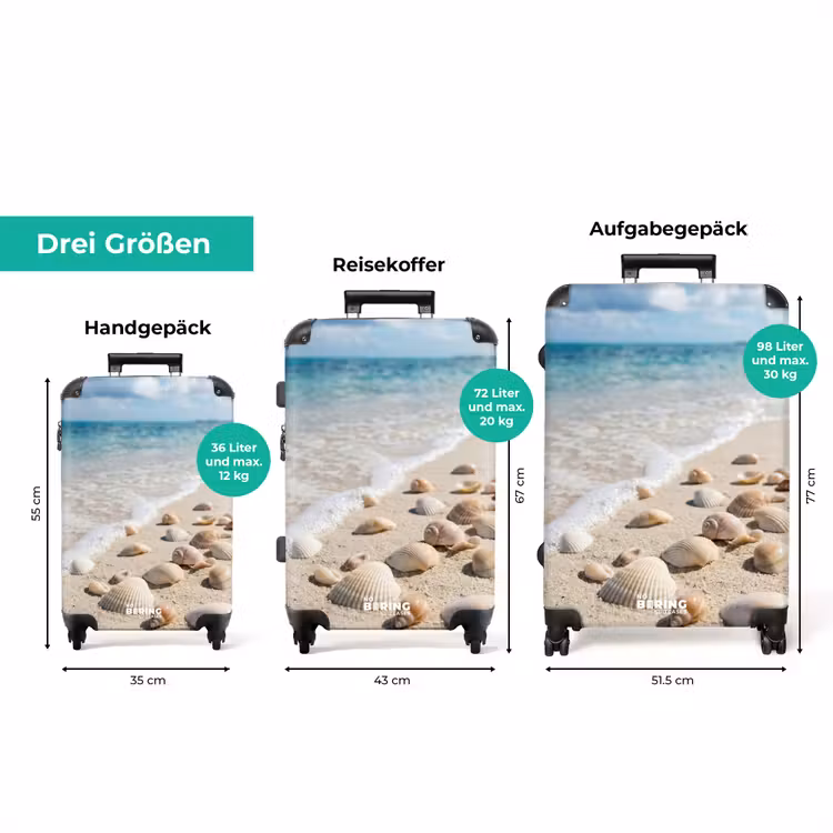 Koffer - Muscheln – Strand – Natur – Beige — 3