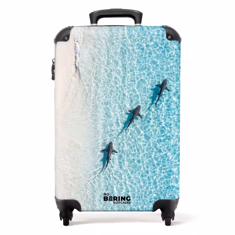 Koffer - Ozean – Strand – Türkis – Natur — 1
