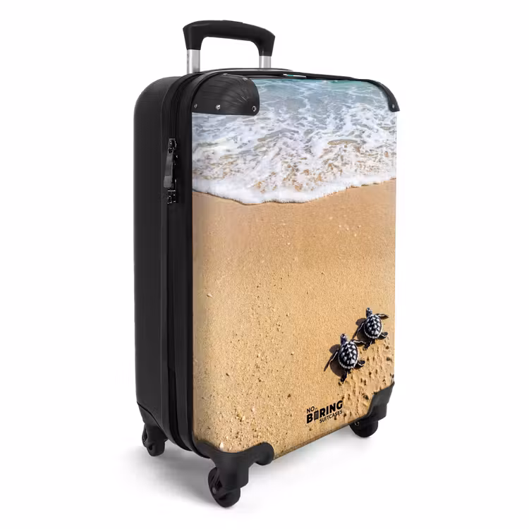 Koffer - Schildkröte – Jung – Strand – Ozean – Blau — 2