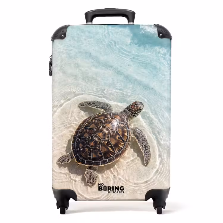 Koffer - Schildkröte – Klares Wasser – Strand – Tiere – Natur — 1