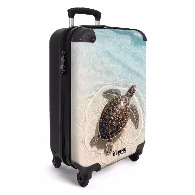 Koffer - Schildkröte – Klares Wasser – Strand – Tiere – Natur — 2