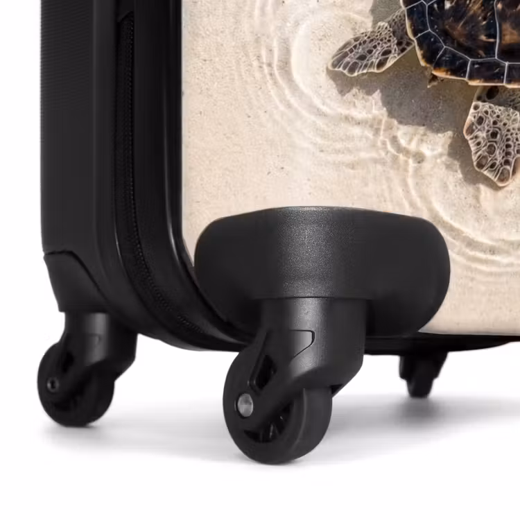 Koffer - Schildkröte – Klares Wasser – Strand – Tiere – Natur — 7
