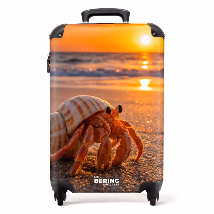 Koffer - Hummer – Strand – Natur – Sonnenuntergang – Orange — 1