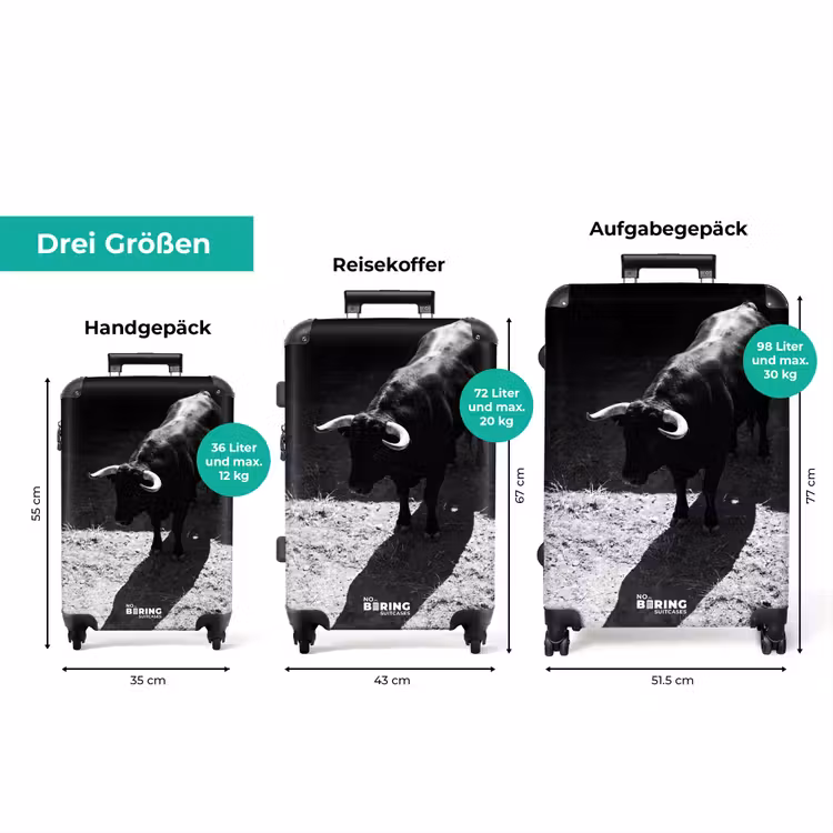 Koffer - Stier – Schatten – Tiere – Kontrast – Schwarz-Weiß — 3