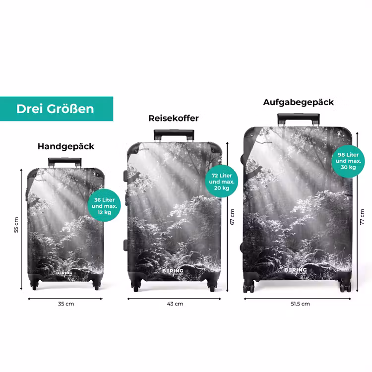 Koffer - Wald – Lichtstrahlen – Natur – Schwarz-Weiß — 3