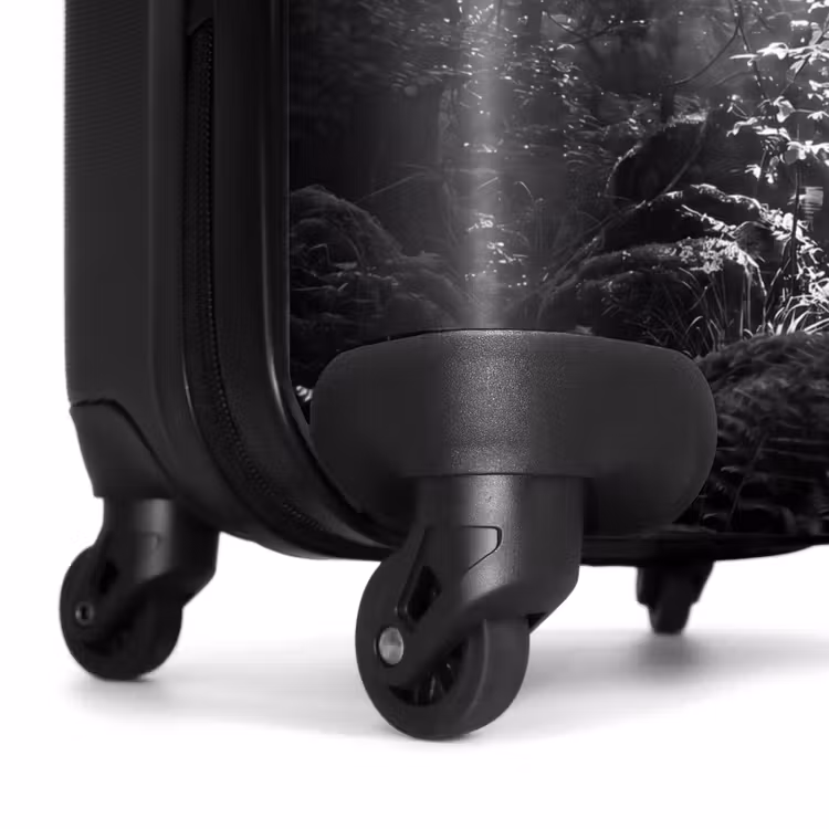 Koffer - Wald – Lichtstrahlen – Natur – Schwarz-Weiß — 7