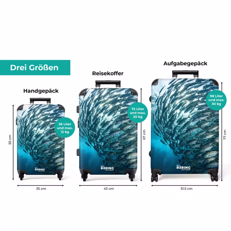 Koffer - Fisch – Fischschwarm – Ozean – Natur – Blau — 3