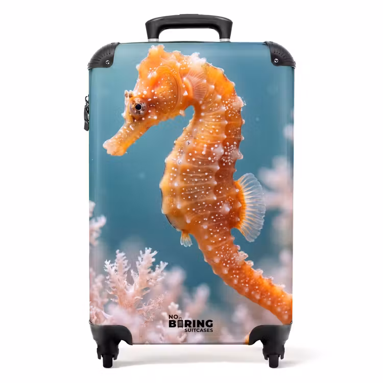 Koffer - Fisch – Koralle – Ozean – Makro – Orange — 1