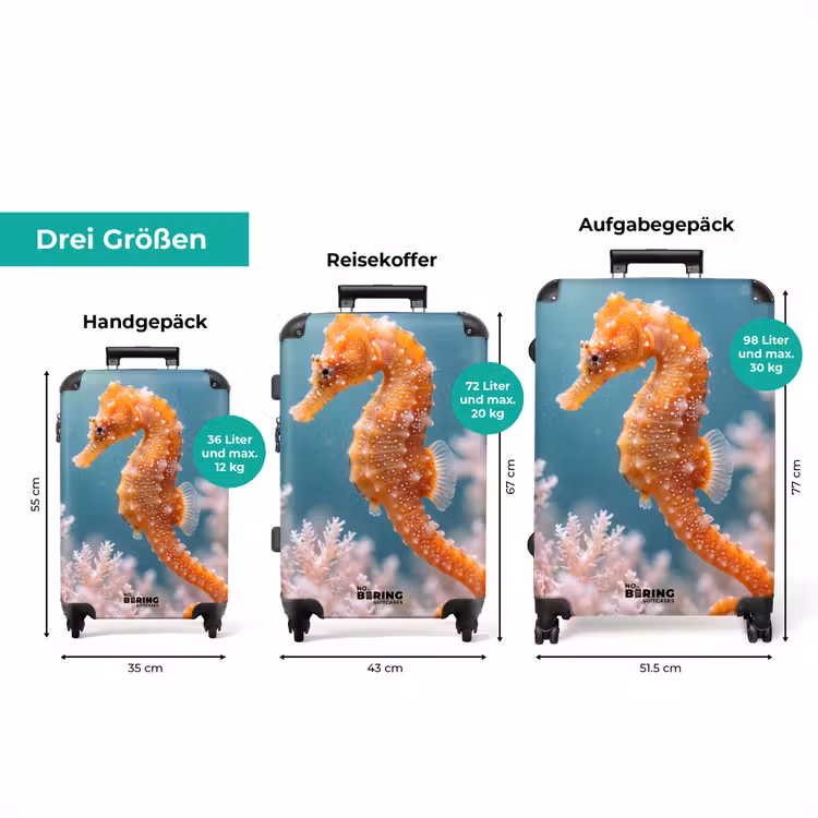 Koffer - Fisch – Koralle – Ozean – Makro – Orange — 3