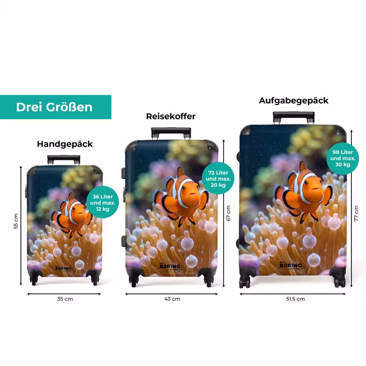 Koffer - Fisch – Koralle – Unterwasser – Orange – Tiere — 3