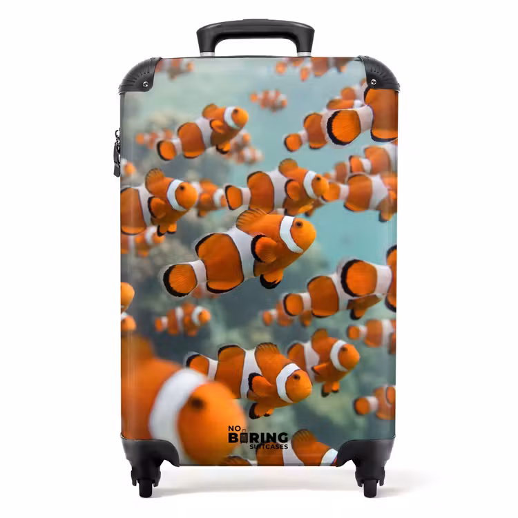 Koffer - Fisch – Schwarm – Unterwasser – Tiere – Orange — 1