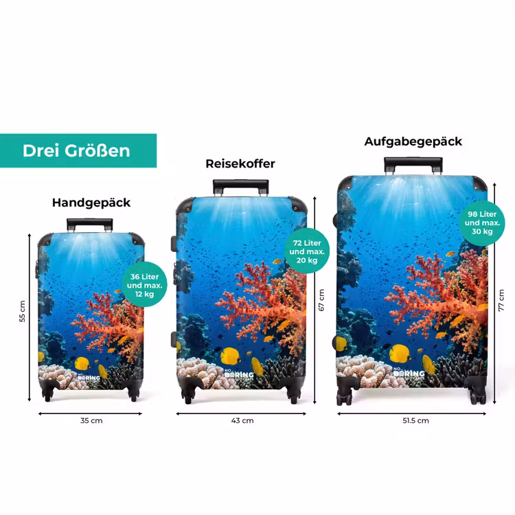 Koffer - Meer – Korallenriff – Natur – Lebendig – Blau — 3