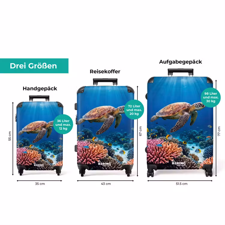 Koffer - Schildkröte – Korallenriff – Ozean – Tiere – Blau — 3