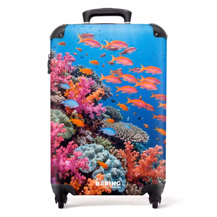 Koffer - Unterwasser – Korallenriff – Fische – Ozean – Natur — 1