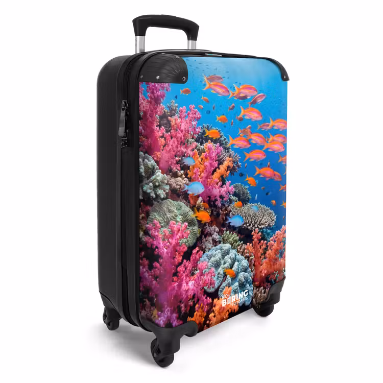 Koffer - Unterwasser – Korallenriff – Fische – Ozean – Natur — 2