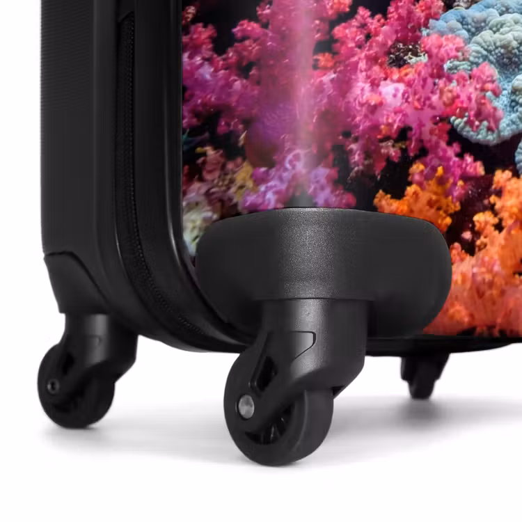 Koffer - Unterwasser – Korallenriff – Fische – Ozean – Natur — 7