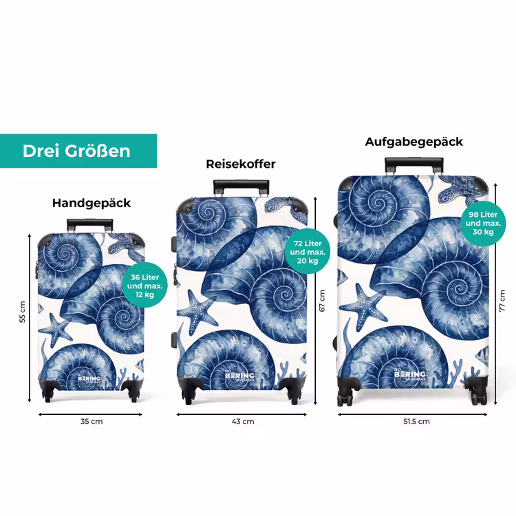 Koffer - Muschel – Spirale – Meeresleben – Aquarell – Blau — 3