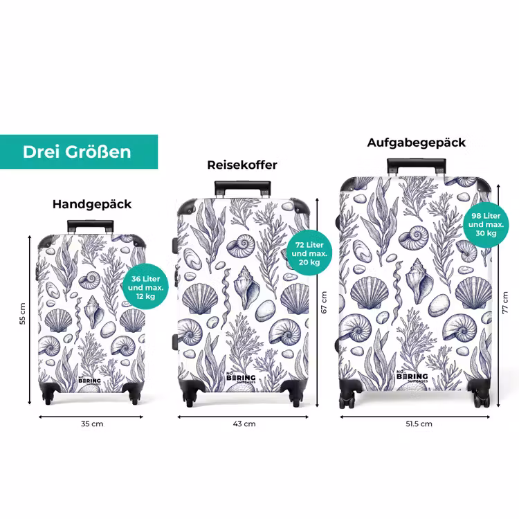 Koffer - Muscheln – Seetang – Ozean – Illustration – Blau — 3