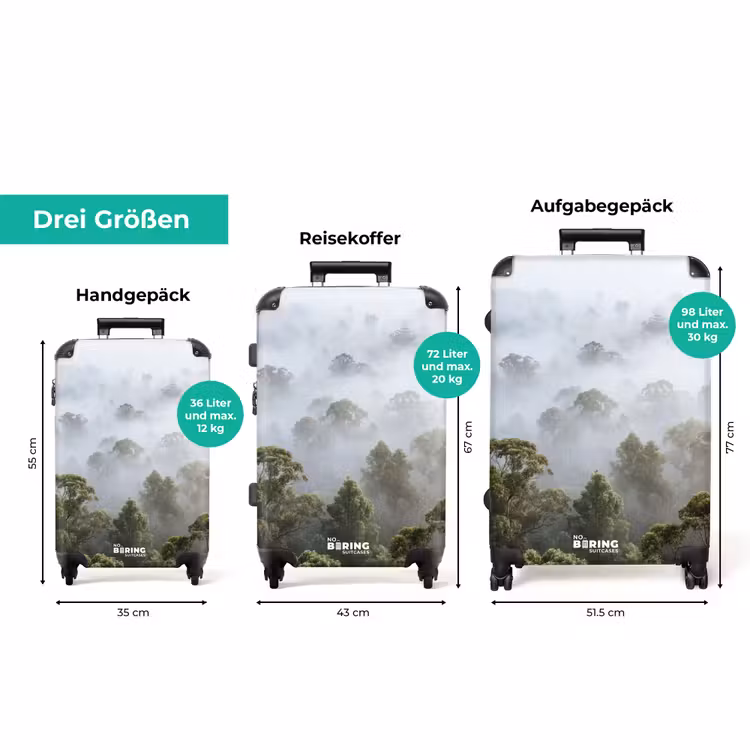 Koffer - Natur – Nebel – Wald – Morgen – Gold — 3