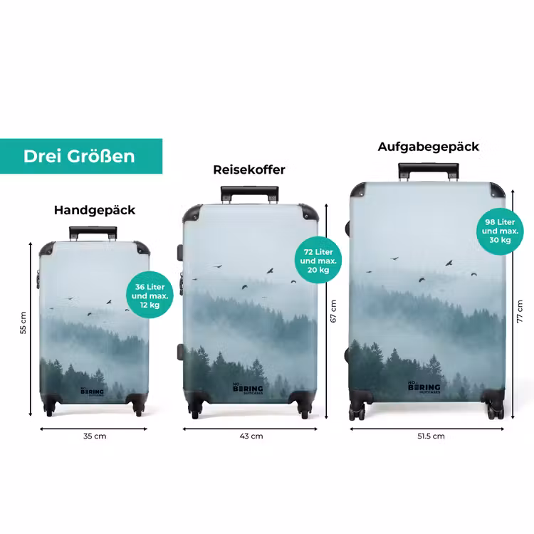 Koffer - Wald – Nebel – Vögel – Natur – Grün — 3