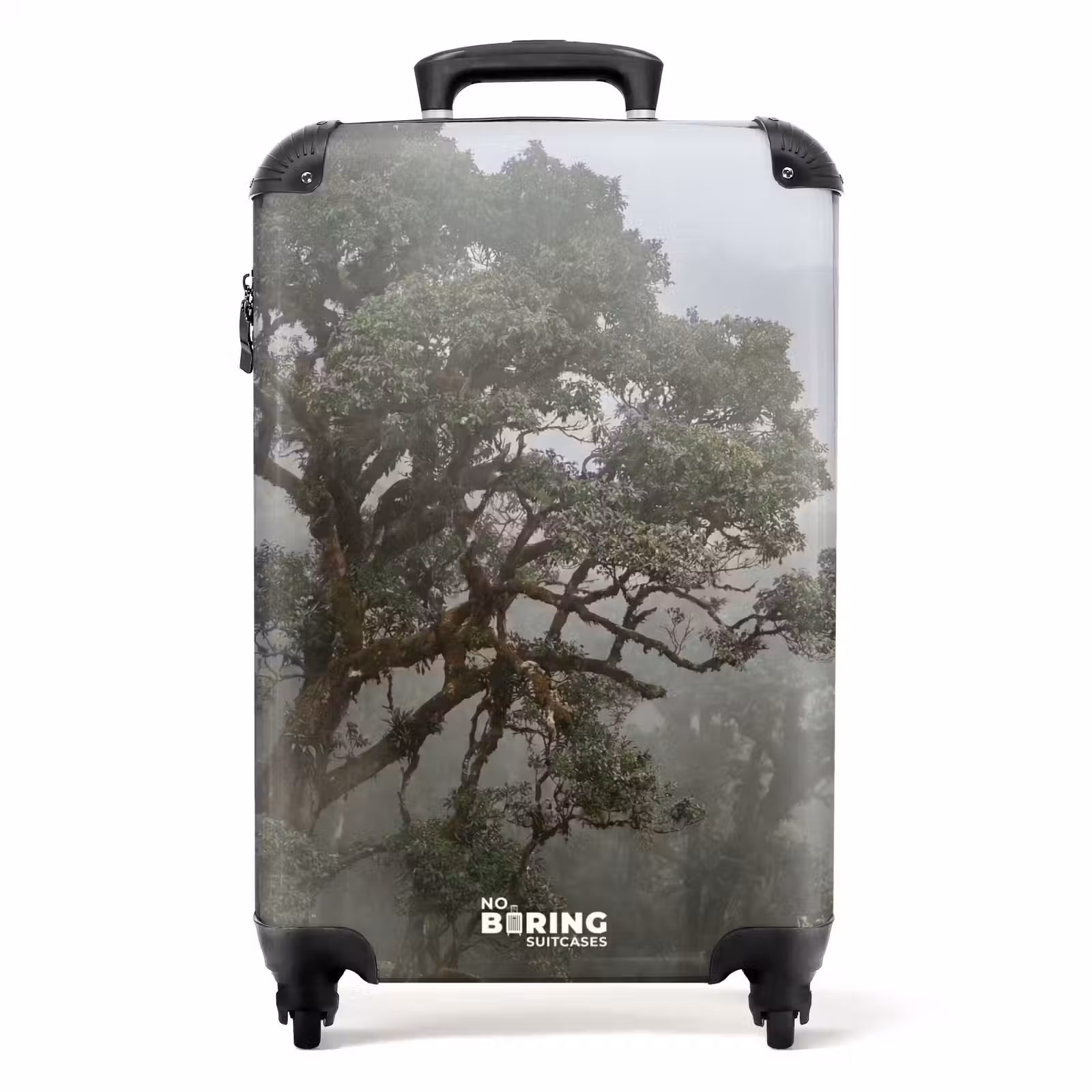 Koffer - Baum – Nebel – Wald – Grün – Natur — 1