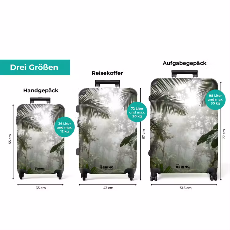 Koffer - Natur – Dschungel – Nebel – Grün – Blätter — 3
