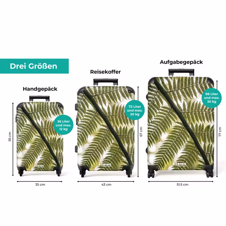 Koffer - Pflanze – Blatt – Natur – Grün – Detail — 3