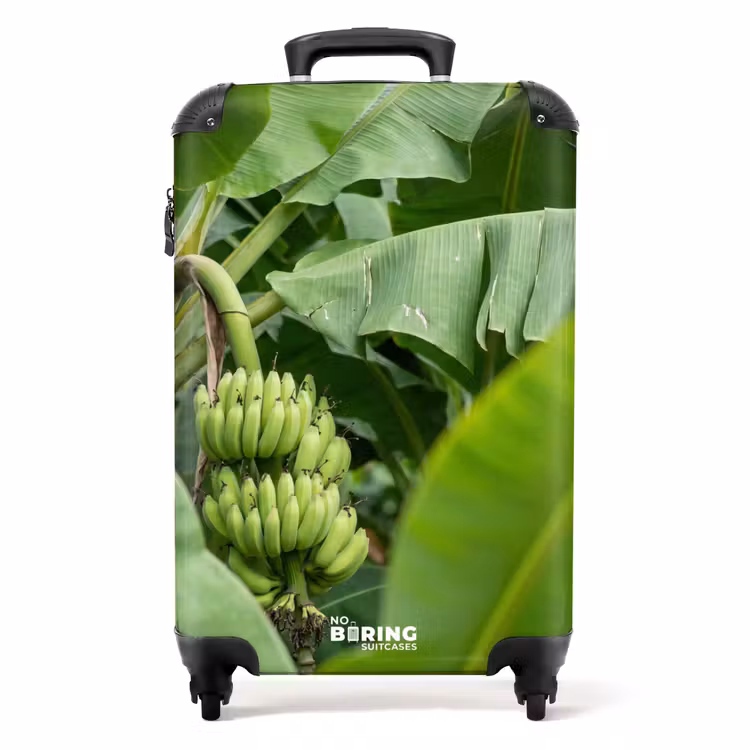 Koffer - Essen – Bananen – Plantage – Grün — 1