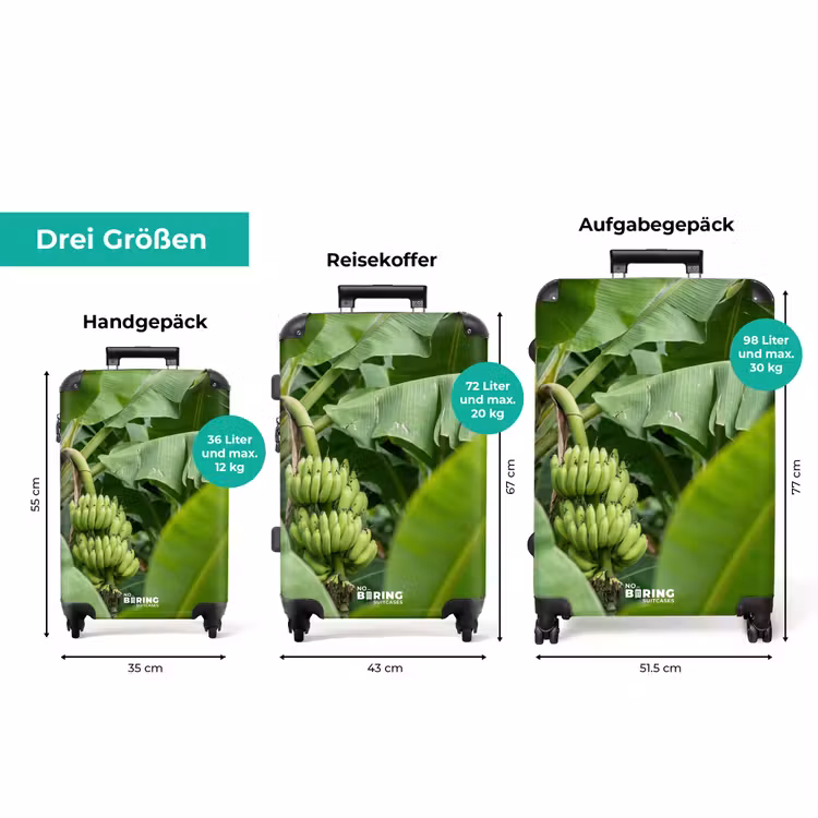 Koffer - Essen – Bananen – Plantage – Grün — 3