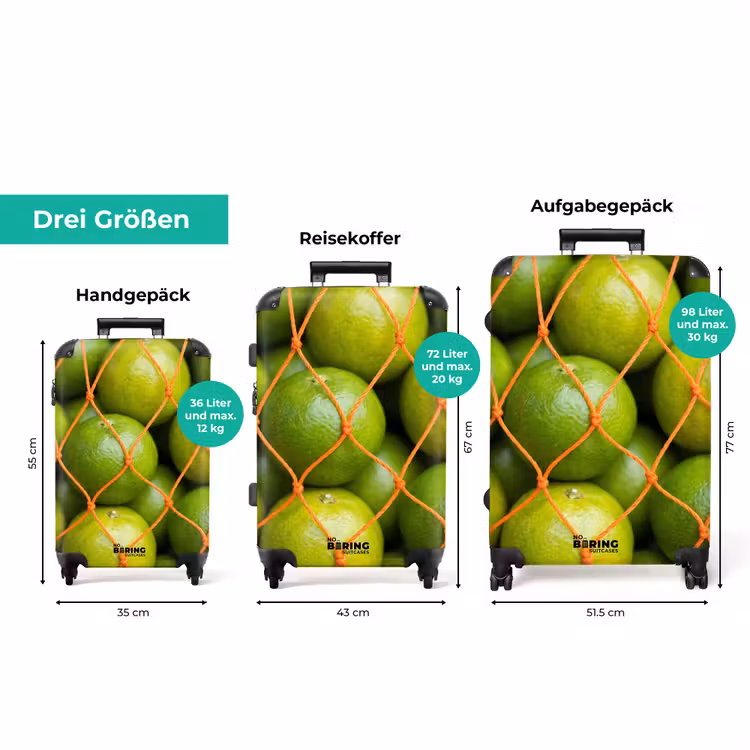 Koffer - Essen – Netz – Grün – Markt — 3