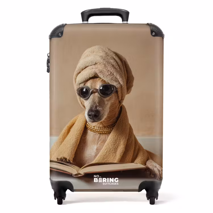 Koffer - Bad - Hund - Buch - Sonnenbrille — 1