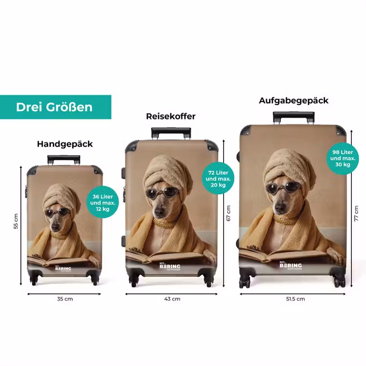 Koffer - Bad - Hund - Buch - Sonnenbrille — 3