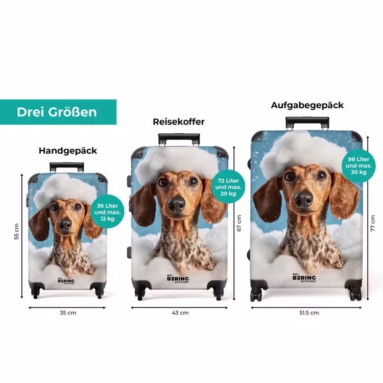 Koffer - Dackel - Bad - Schaum - Wassertropfen — 3