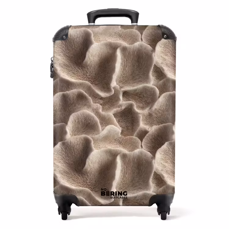 Koffer - Fächerform - Beige - Faserstruktur — 1