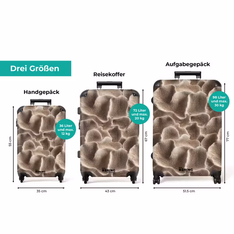 Koffer - Fächerform - Beige - Faserstruktur — 3