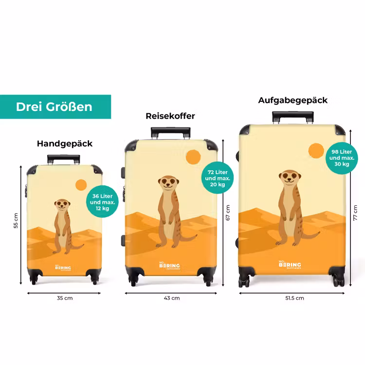 Koffer - Erdmännchen – Wüste – Sonne — 3