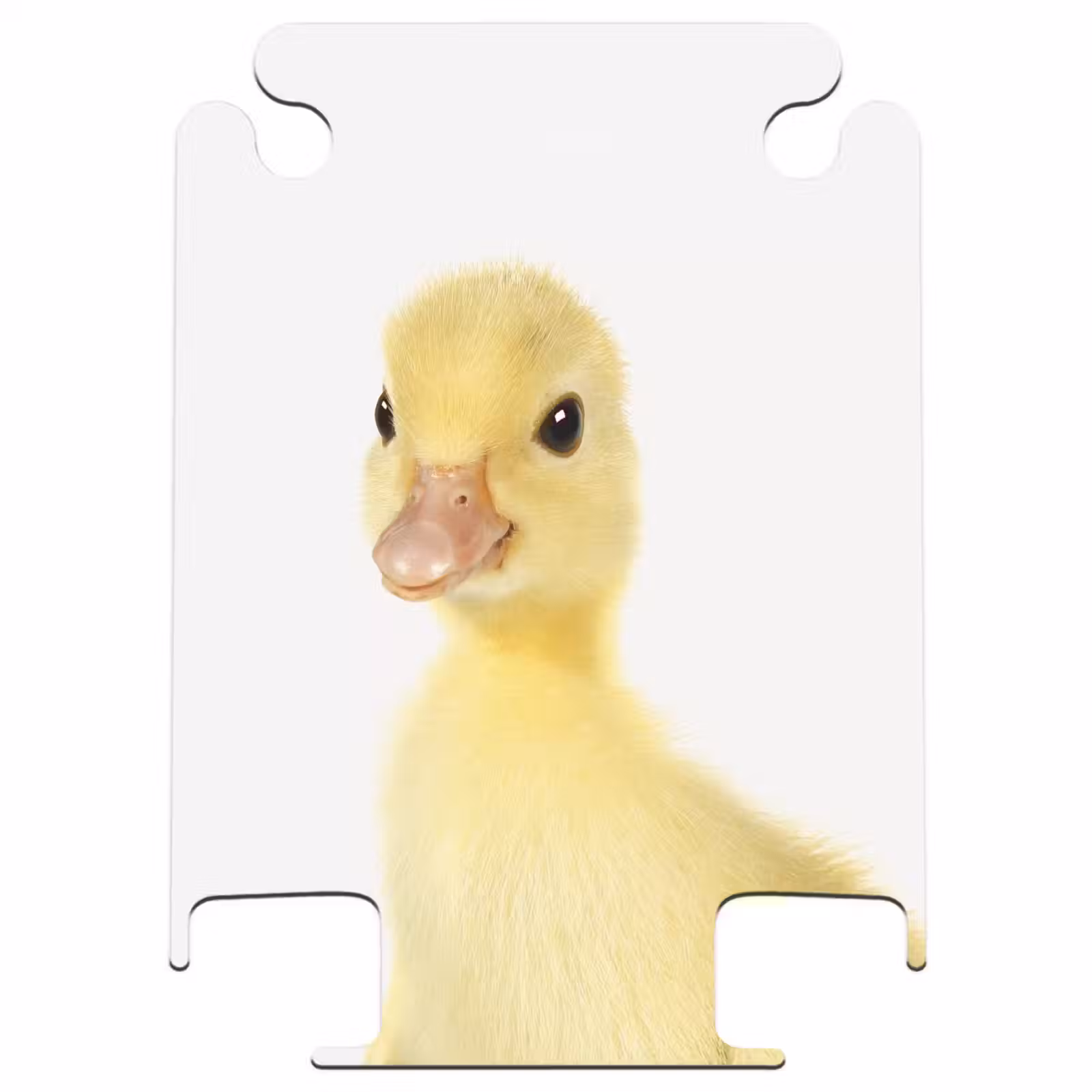 CaseSwap - Barry die Gummi-Ente — 1