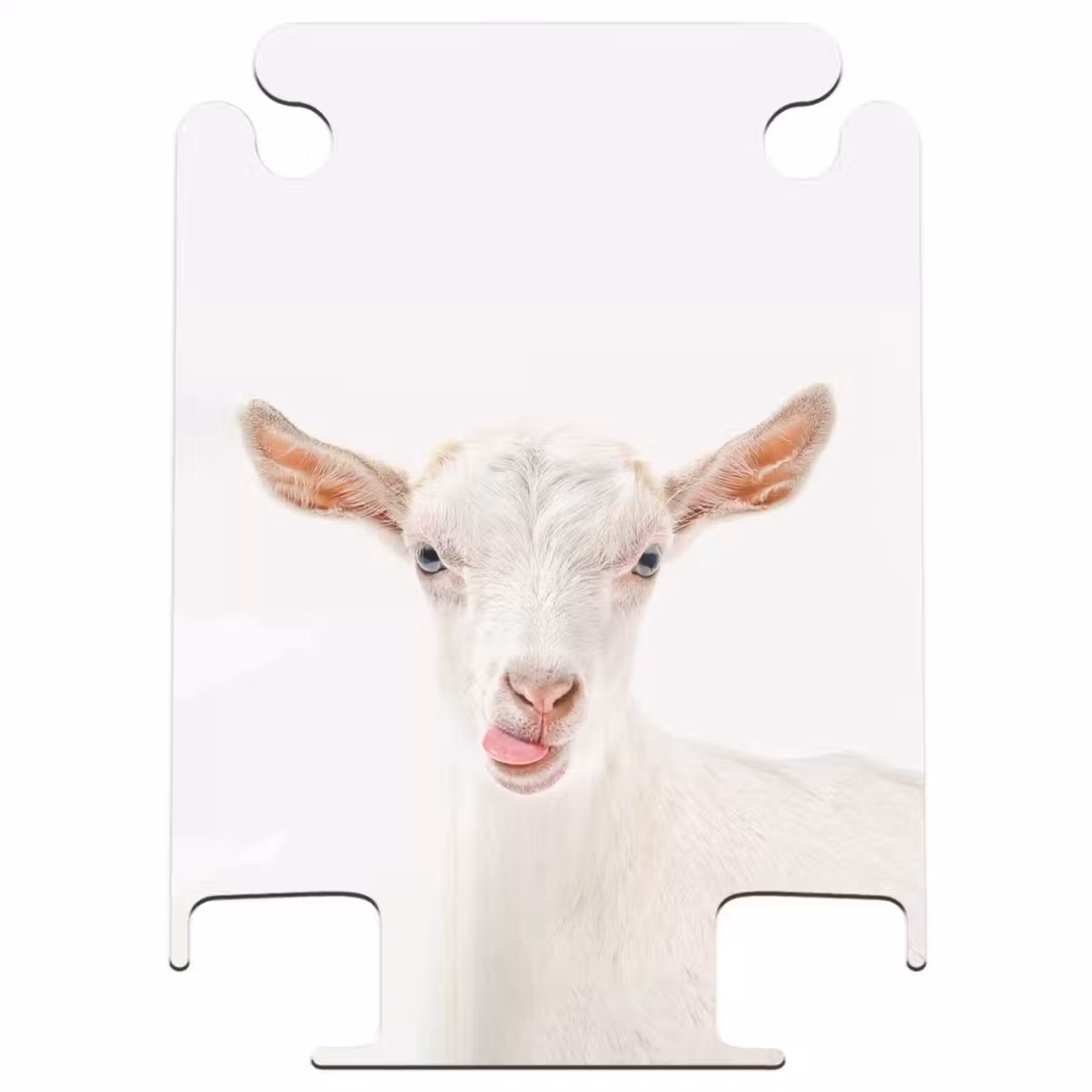 CaseSwap™ - Ziege streckt ihre Zunge heraus — 1