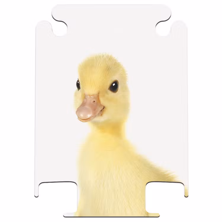CaseSwap - Barry die Gummi-Ente — 1