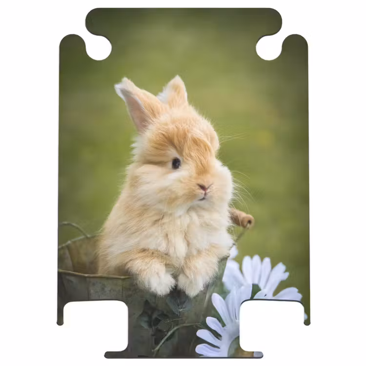 CaseSwap™ - Kaninchen im Blumentopf — 1