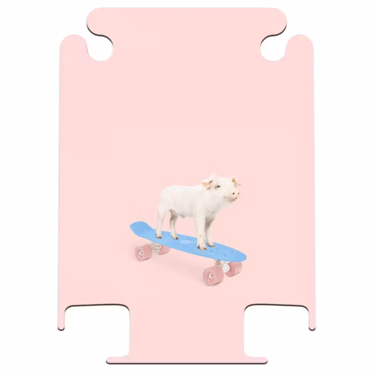 CaseSwap™ - Schweinetransport — 1