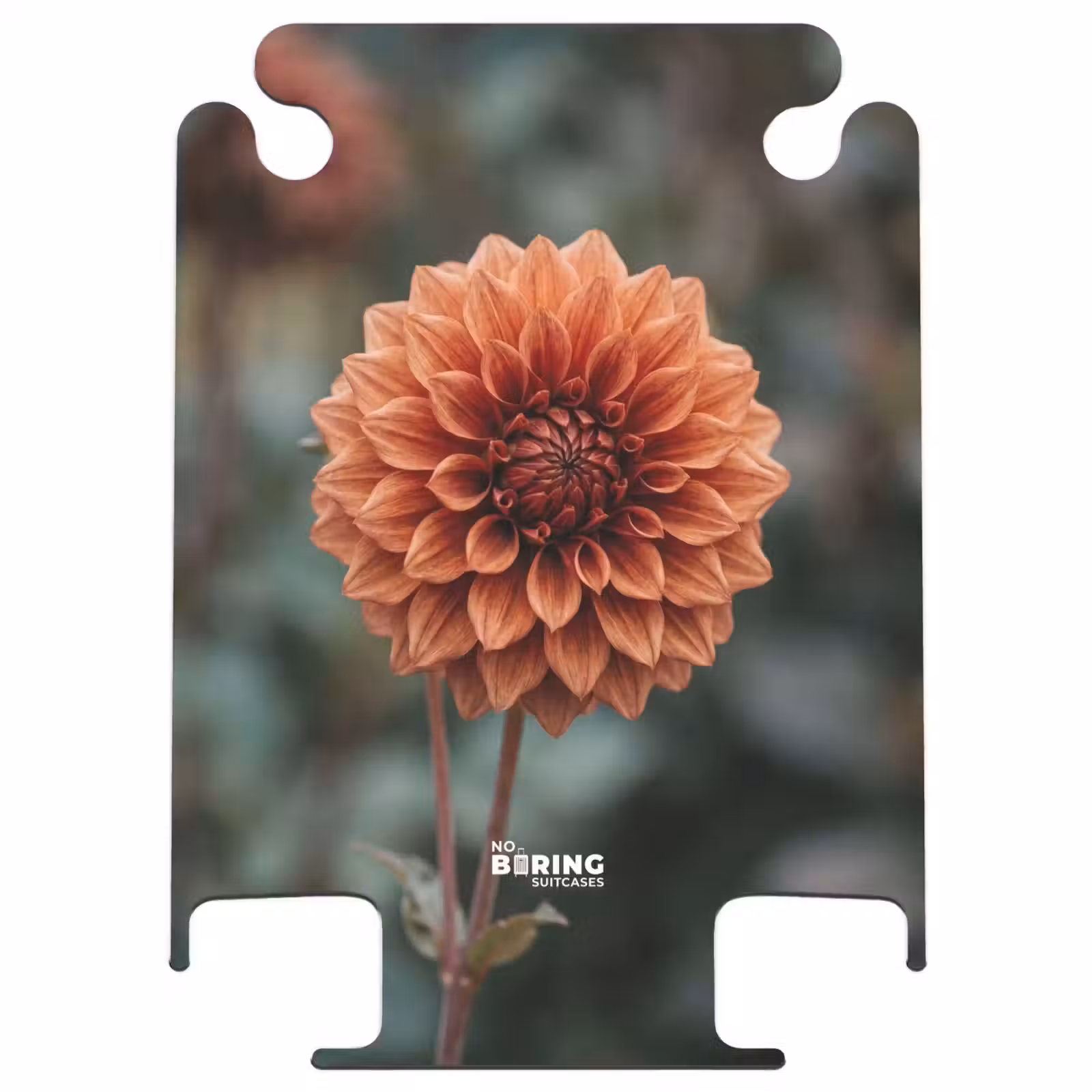 CaseSwap™ - Dahlia – Blume – Natur – Stimmungsvoll — 1