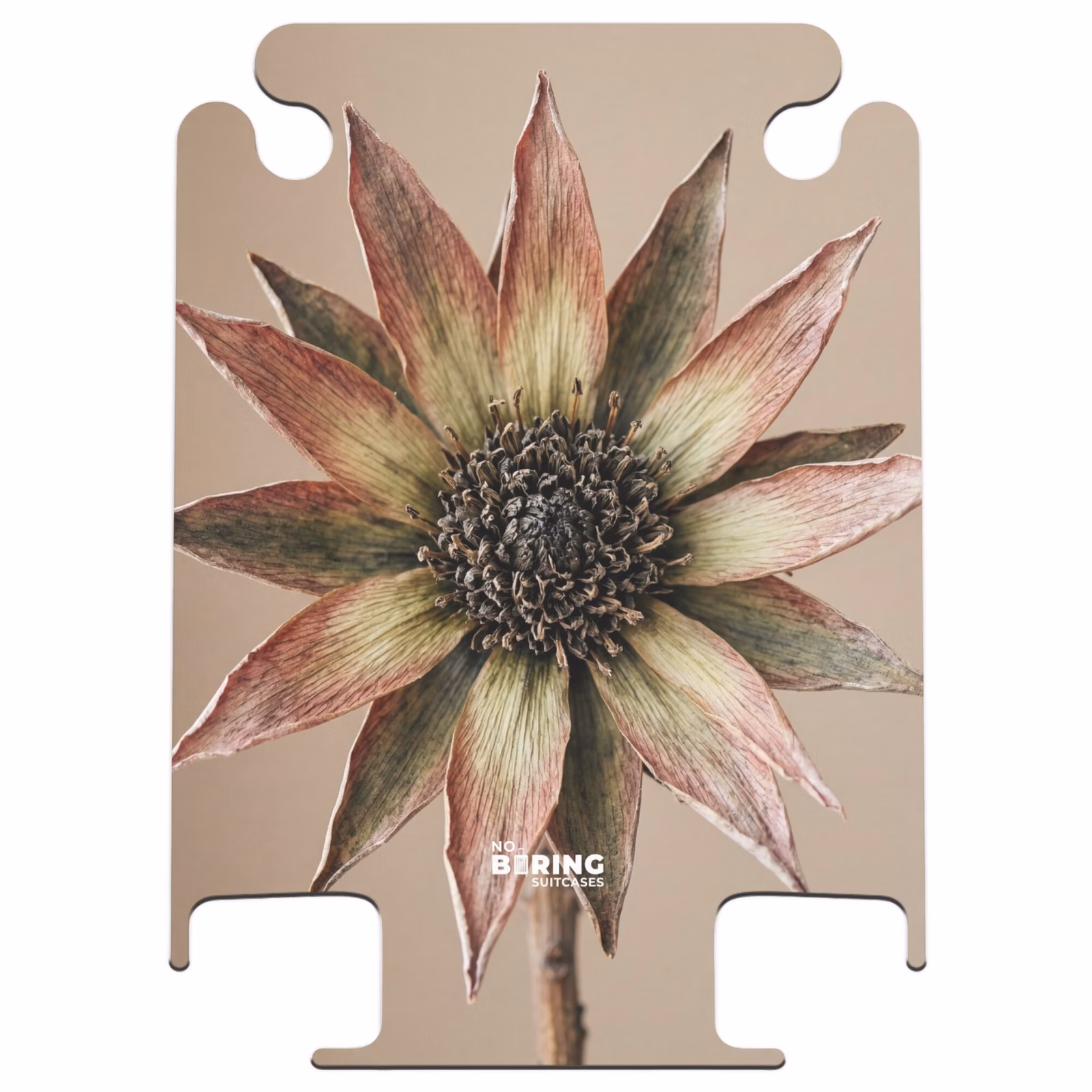 CaseSwap - Trockenblume – Protea – Vintage – Beige – Rustikal — 1